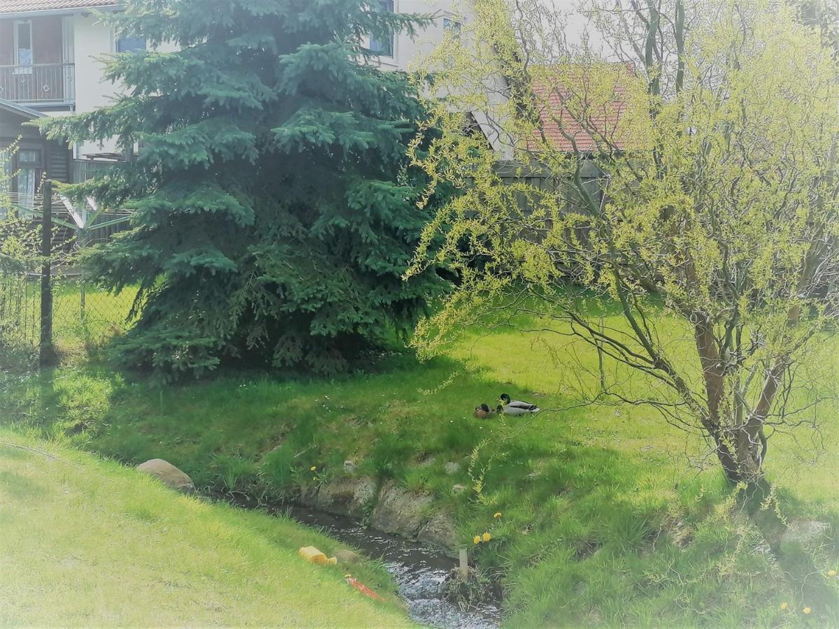 Urlaub Beim Schmied Daire Kühlungsborn Dış mekan fotoğraf