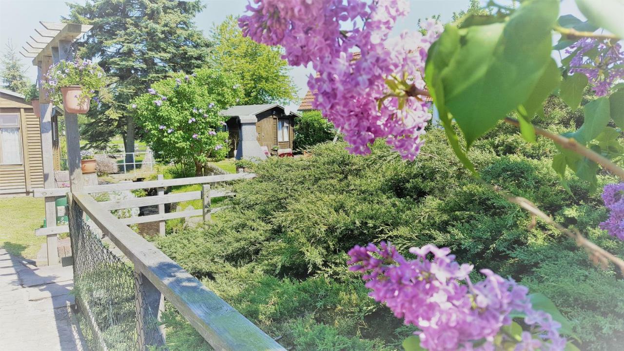 Urlaub Beim Schmied Daire Kühlungsborn Dış mekan fotoğraf