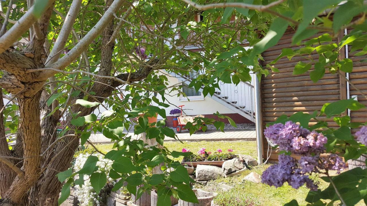 Urlaub Beim Schmied Daire Kühlungsborn Dış mekan fotoğraf
