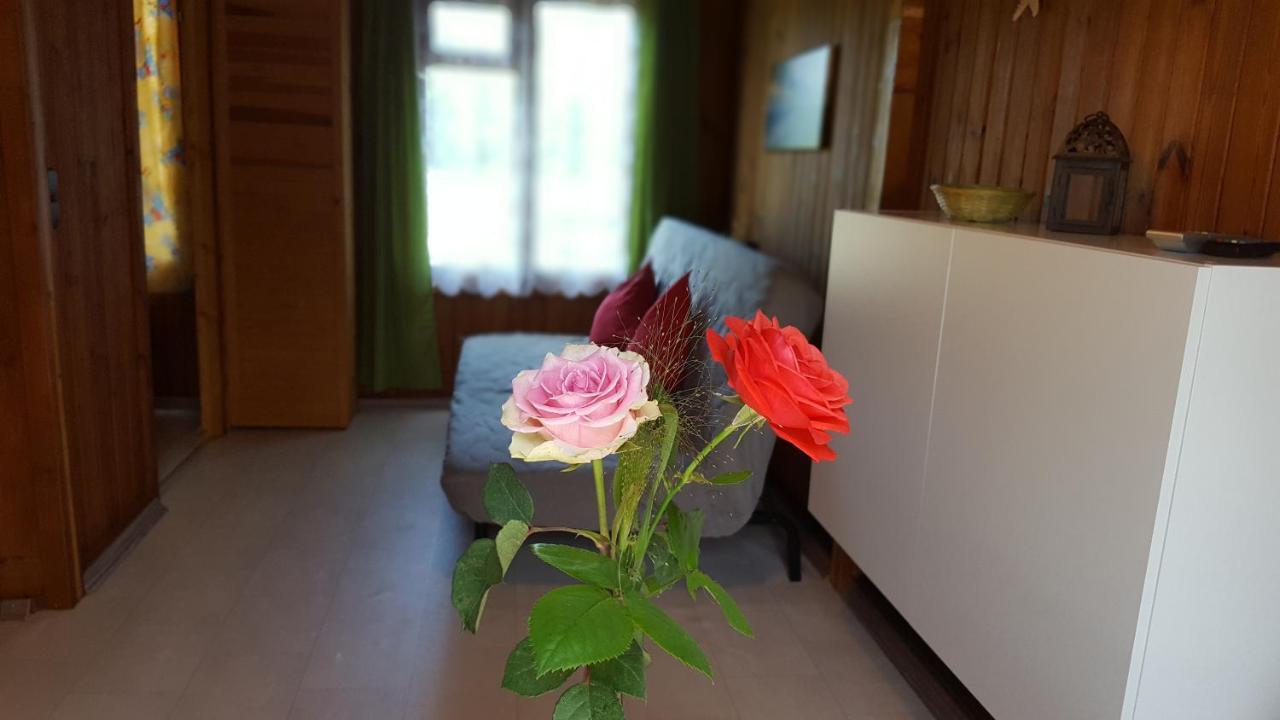 Urlaub Beim Schmied Daire Kühlungsborn Dış mekan fotoğraf
